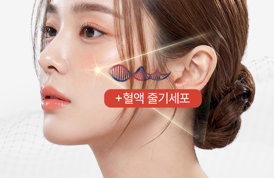 도움 시그니처 셀-리페어 이미지